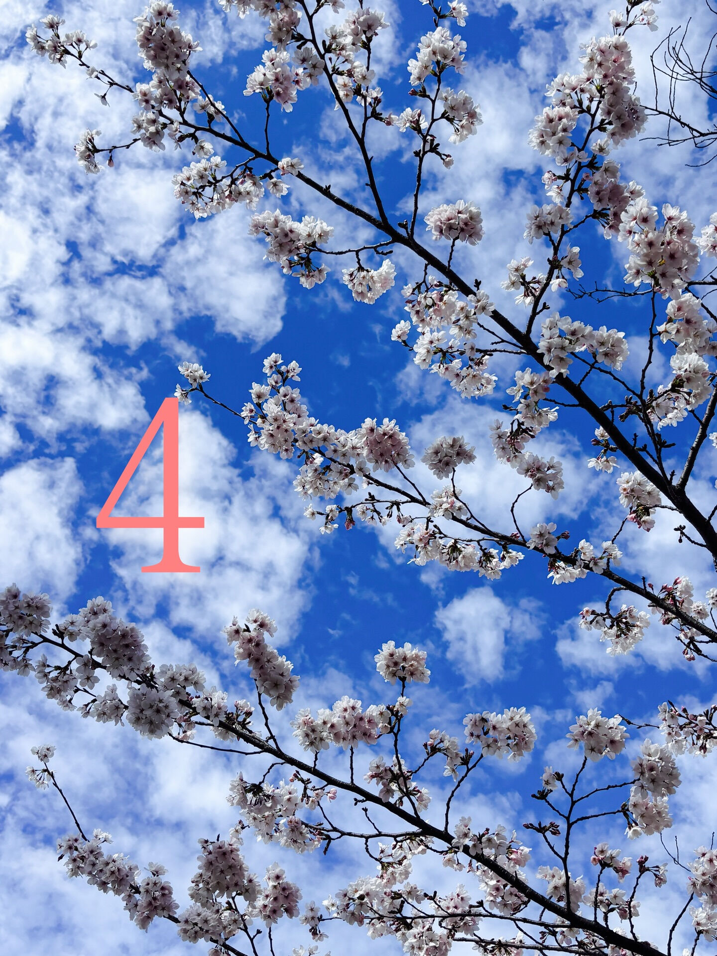 【information】