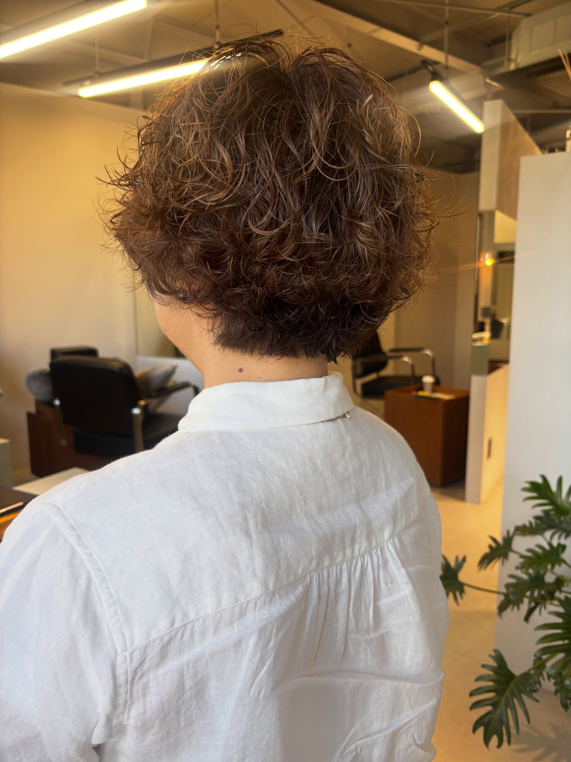 【guest  style】